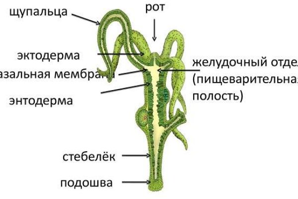 Как открыть магазин на блэкспрут онион